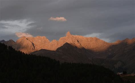 Pinocchio Che Dorme Ilbernina