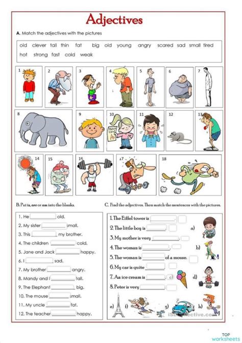 Adjectives Interactive Worksheet Topworksheets