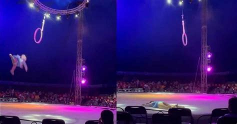 Acr Bata De Un Circo En Tampico Cae En Pleno Show