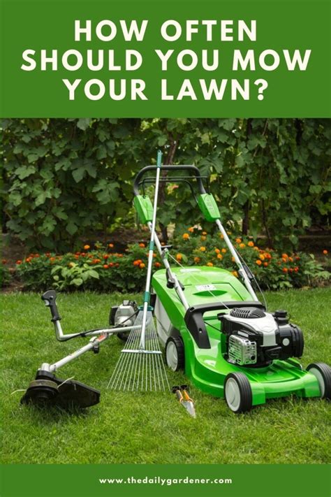 How Often Should You Mow Your Lawn