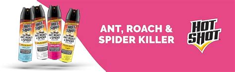 Amazon Hot Shot Ant Roach Spider Killer Kills Insects Indoors And Outdoors Kills