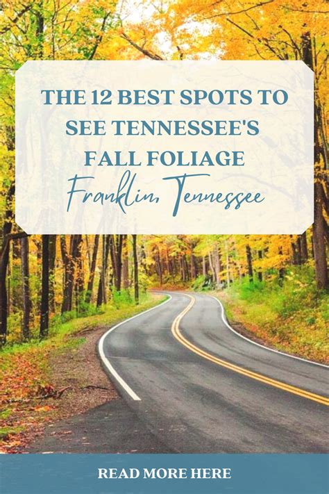 The 12 Best Spots To See Tennessees Fall Foliage Tennessee Fall