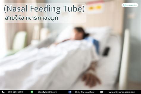 สายให้อาหารทางจมูก Nasal Feeding Tube