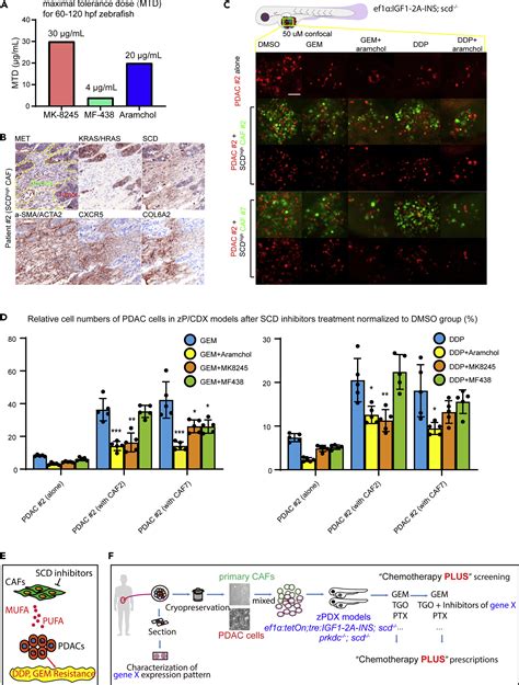 Assessment Of Stromal Scd Induced Drug Resistance Of Pdac Using 3d Printed Zpdx Model Chips