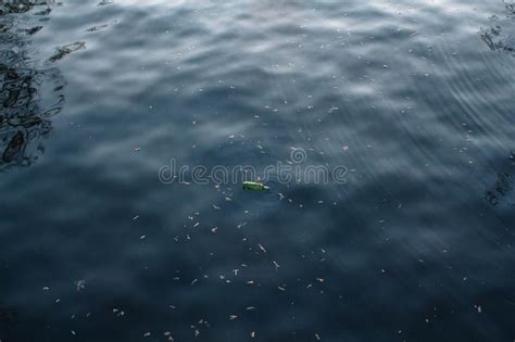 Delicadamente Dobrando Ondas Para Formar Ondinhas Na Superf Cie Da