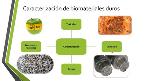 Arriba Biomateriales Dibujos Mejor Camera Edu Vn