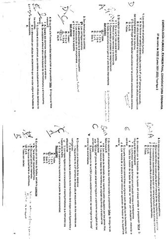 TEMA 3 Embriologia Del Oido Pdf