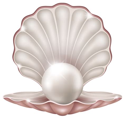 Pearl Transparent PNG All