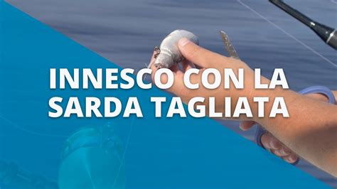 Innesco Sarda Tagliata Tutorial Drifting Al Tonno Rosso Con Shimano