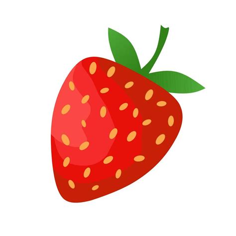 Fresh Strawberry Fruit Illustration On White Background 23334006 Vector