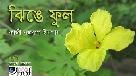 ঝিঙে ফুল ~ কাজী নজরুল ইসলাম Jhinge Phul ~ Kazi Nazrul Islam Arif