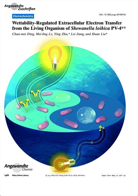 Frontispiz WettabilityRegulated Extracellular Electron Transfer From