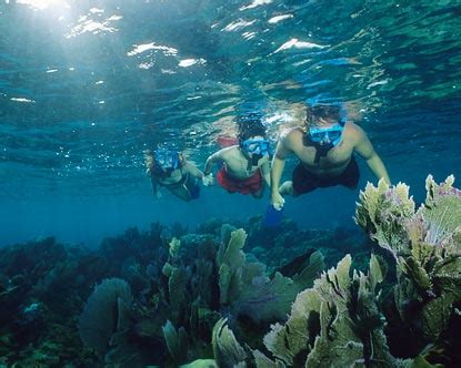 The Ultimate Guide To Snorkeling At Bavaro Beach – DesertDivers