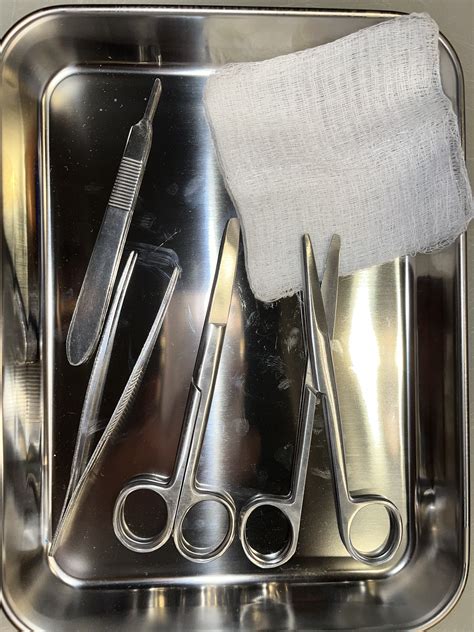 Safer Surgeries Using AI Object Detection Model by SaferSurgeriesUsingAI