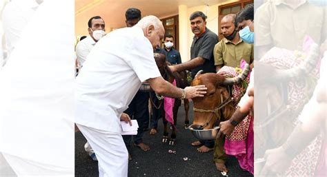 Karnataka Govt Will Promulgate Anti Cow Slaughter Ordinance Cm