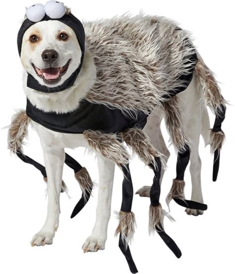 Discontinued - FRISCO Spider Dog & Cat Costume, XX-Large - Chewy.com