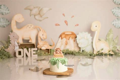 Baby Dino Cake Smash Zuid Holland Baby Birthday Decorations Baby