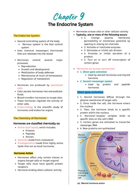 Chapter 9 The Endocrine System Chapter 9 The Endocrine System Second