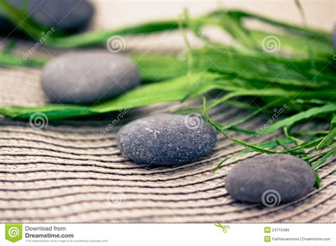 Pedras Dos Termas E Flores Cuidado Do Wellness Beleza Imagem De Stock