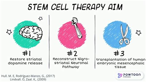 Stem Cell Therapy Parkinsons Disease Youtube