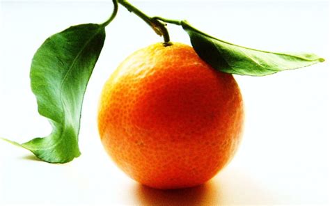 Orange Fruit Wallpapers - Wallpaper Cave