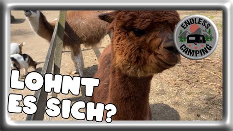 Ein Tierisches Abenteuer Im Filmtierpark Eschede Youtube