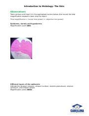 BIO2101 Introduction To Histology The Skin Answer Sheet Docx