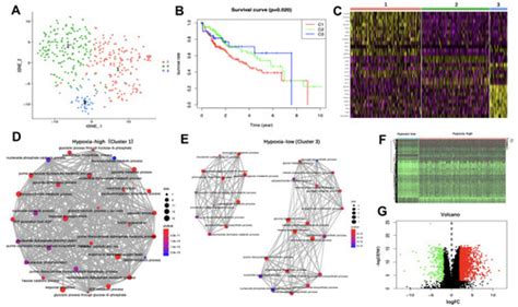 Full Article Development And Verification Of The Hypoxia Related And