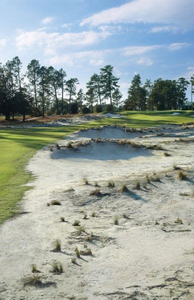 Hole 13 Pinehurst - Get Pinehurst Golf Package Deals From Ring The Pines