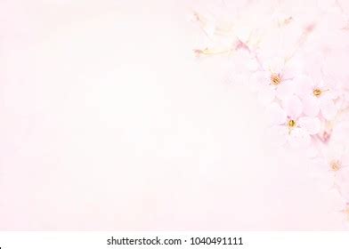 3,446,885 Light flower background Images, Stock Photos & Vectors ...