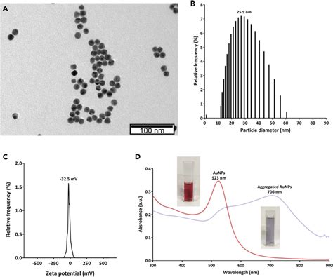 Characterization Of Gold Nanoparticles A Transmission Electron