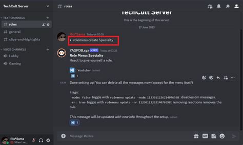 How To Create Yagpdb Reaction Roles On Discord Techcult