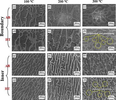 Microstructure Of As Built And Exposed Slm Alsi Mg Specimens A