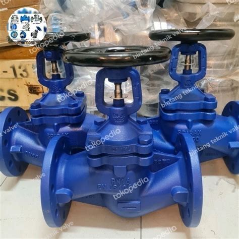 Jual Globe Valve Inch Spirax Sarco Bellow Seal Dn Pn Cast Iron