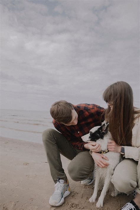 Dog Running At The Beach · Free Stock Photo