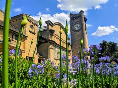 Homepage Horniman Museum And Gardens