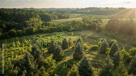 Agroforestry Professional captures of agroforestry systems integrating trees shrubs and crops on ...