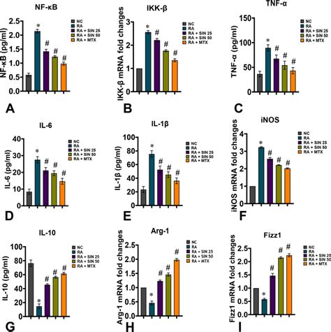 Elisa Assay For Knee Joints Homogenate In Experimental Rats A Nf C