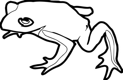 Theresa Knott Frog Amphibian Coloring Page Wecoloringpage