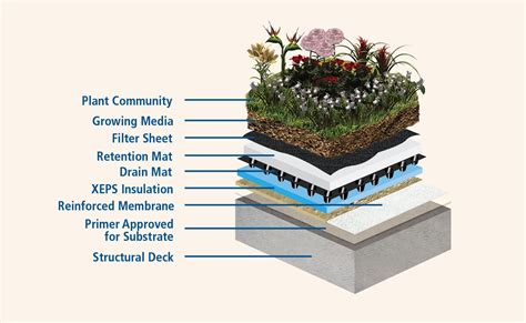 built  roof green roof assembly construction specifier