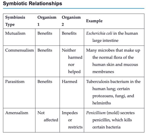 Ch Infection And Disease Flashcards Quizlet