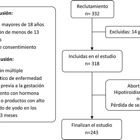 Criterios de inclusión y exclusión y diagrama de flujo Download