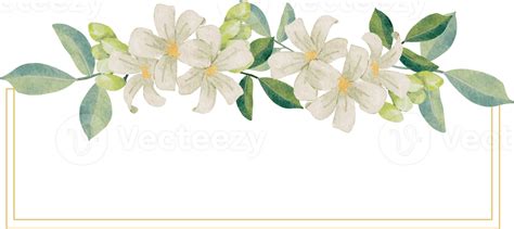 Watercolor White Murraya Orange Jasmine Flower Bouquet Wreath Badge