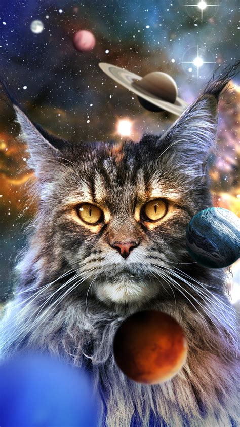 Space Cats Wallpaper Iphone