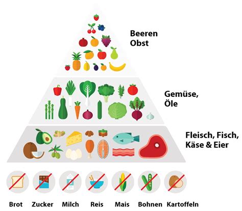 Ketogene Ern Hrung Was Ist Das I Magazin Ideal Versicherung