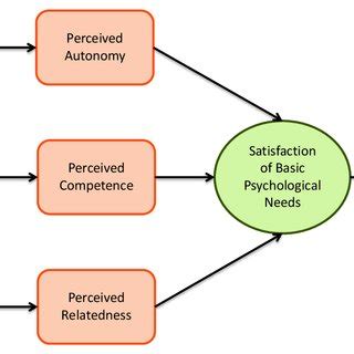 (PDF) Self-Determination Theory