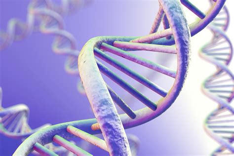 How to Determine Allele Frequencies | Sciencing