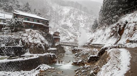 Jigokudani Monkey Park Package Deals Orbitz