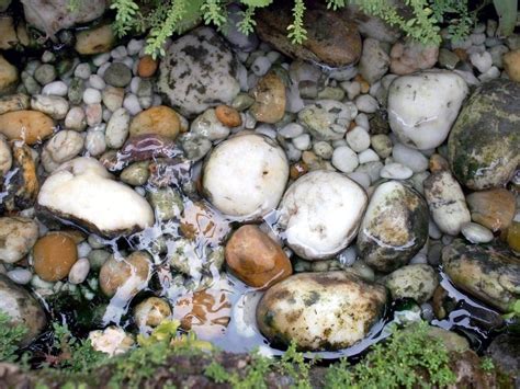 5 Best Rocks For Freshwater Aquariums 2024 Reviews Top Picks Hepper