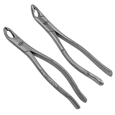 Prodent Usa A A Universal Extraction Forceps Serrated